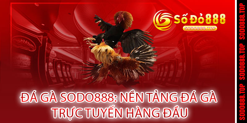 ĐÁ GÀ SODO888 - THẮNG SIÊU TỐC, LÃI SIÊU KHỦNG! Cược ngay - Rinh quà liền tay 2 ĐÁ GÀ SODO888: Nền Tảng Đá Gà Trực Tuyến Hàng Đầu