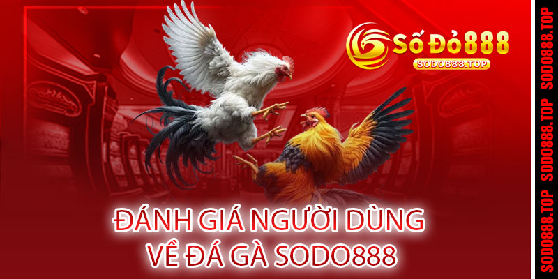 ĐÁ GÀ SODO888 - THẮNG SIÊU TỐC, LÃI SIÊU KHỦNG! Cược ngay - Rinh quà liền tay 3 Đánh Giá Người Dùng Về Đá Gà SODO888