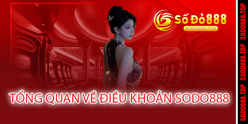 Điều Khoản Sodo888 - Minh Bạch, Công Bằng, Bảo Vệ Quyền Lợi Người Chơi 2 Các Điều Khoản Quan Trọng Của Sodo888
